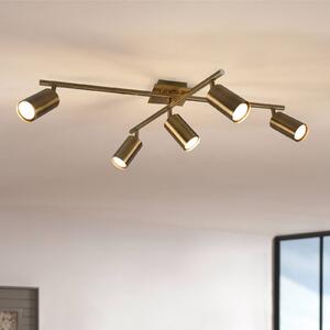 Trio Lighting Faretto a soffitto Marley, ottone anticato, 5 luci