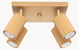 Faretti da soffitto piccoli Gleam