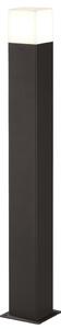 Trio Leuchten - Lampada da terra moderna antracite con LED - Hudson I Illuminazione per esterni - Alluminio Oblong - LED adatto E14