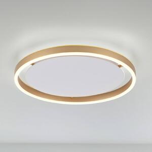 JUST LIGHT. Plafoniera LED Ritus, Ø 39,3cm ottone satinato