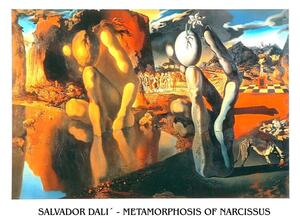 Stampe d'arte Metamorphosis of Narcissus 1937, Salvador Dalí, (80 x 60 cm)