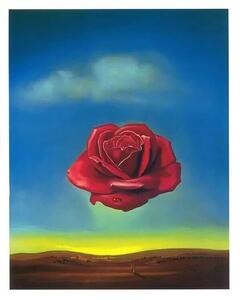Stampa d'arte Meditative Rose 1958, Salvador Dalí, (24 x 30 cm)