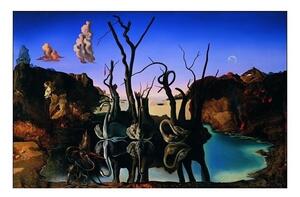 Stampa d'arte Salvador Dali - Reflection Of Elephants