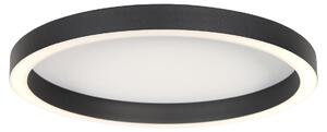 Steinhauer - plafoniera - Ringlux - nero - metallo - Ø 40cm - LED - 4135ZW