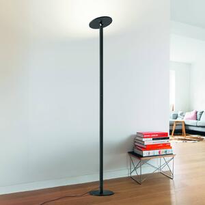 Fabas Luce Piantana LED Regina, nera, CCT, dimmerabile, altezza 180 cm