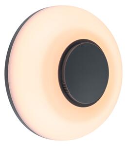 Paulmann 94955 - LED/20,5W IP65 dimmerabile lampada da parete per esterni AUREVA 230V