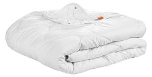 Piumino 200 x 220 cm, piumino 4 stagioni, 100% microfibra, adatto a chi soffre di allergie, sleepling Basic 100