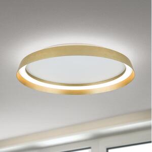 Orion DL 7-699/45-Luce LED dimmerabile MANTA LED/38W/230V 2700/3000/4000K diametro 45 cm