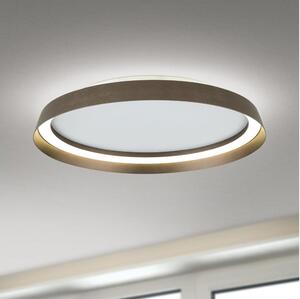 Orion DL 7-699/45-Luce LED dimmerabile MANTA LED/38W/230V 2700/3000/4000K diametro 45 cm