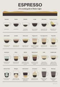 Illustrazione Espresso Guide, Dion Gem