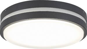Rabalux 8848 Plafoniera per esterni Hamburg, 12W, 4000K, 900lm, bianco antracite, rotonda, bianco neutro, ø280mm