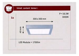 Paulmann 70650 - LED/17W Plafoniera LUNAR 230V