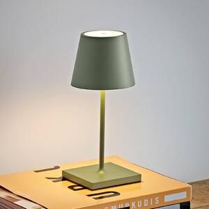 Sigor Nuindie mini lampada da tavolo LED, rotonda, USB-C, verde salvia