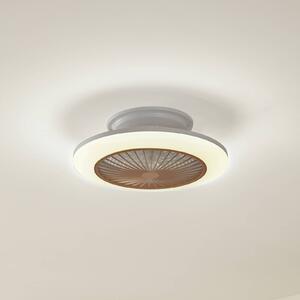 Ventilatore da soffitto Lindby LED Mamuti, color legno, silenzioso, 55 cm