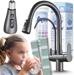 Rubinetto da cucina Ari Nordic con doccetta estraibile, rubinetto a 3 vie per filtro acqua, beccuccio girevole 360, grafite
