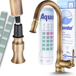 Rubinetto da cucina Ari Bloom con doccetta estraibile, beccuccio girevole a 360 gradi, cartuccia Vetroceramica, ottone, colore brass