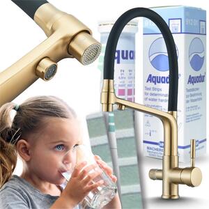 Rubinetto da cucina a 3 vie flessibile con attacco per filtro dell'acqua, doccetta estraibile, orientabile a 360°, circuiti separati, cartuccia in Vetroceramica dorata