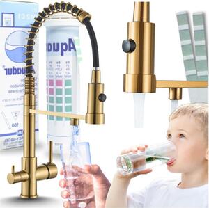 Rubinetto da cucina a 3 vie Ari Solid Spring con doccetta estraibile, beccuccio girevole 360 gradi, collegamento filtro acqua, oro spazzolato