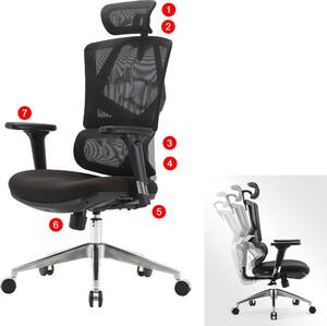 Sedia da ufficio HWC-J89, sedia da scrivania ergonomica, supporto lombare schienale alto braccioli 3D ~ imbottito nero
