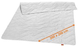 Sleepling - Piumino estivo, 200 x 200 cm, 100% seta selvatica, rinfrescante e ideale per le notti calde