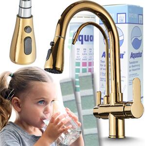 Rubinetto da cucina a 3 vie Ari Nordic con doccetta estraibile, per filtro acqua, beccuccio girevole 360 gradi, oro lucido