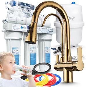 Rubinetto da cucina a 3 vie Ari Nordic con doppia uscita per acqua filtrata, doccetta estraibile e beccuccio girevole, oro lucido