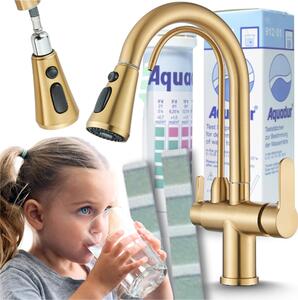 Rubinetto da cucina a 3 vie Ari Nordic con doccetta estraibile, beccuccio girevole 360 gradi, collegamento per filtro acqua, oro spazzolato