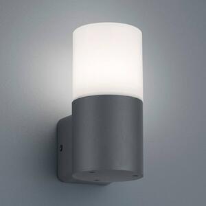 Trio Lighting Applique da esterni Hoosic 1 luce, antracite