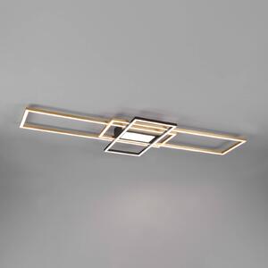 Trio Lighting Plafoniera LED Irvine, CCT, dimmerabile, ottone