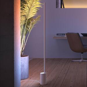 Philips Hue Gradient Signe piantana LED bianco