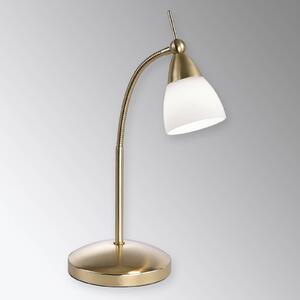 Paul Neuhaus Lampada da tavolo LED Pino, ottone, con dimmer