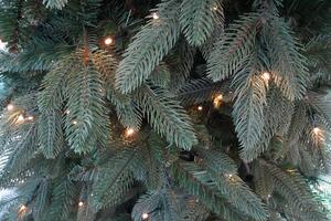 Albero di Natale Artificiale 180 cm 46 Rami con 300 LED Platano del Gargano Verde