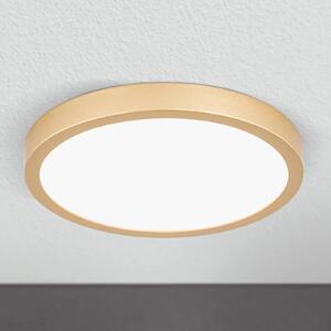 ORION Plafoniera LED Vika rotonda, oro opaco, Ø 23 cm