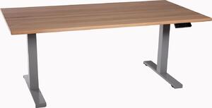 Scrivania da ufficio regolabile in altezza grigio chiaro Piano di lavoro in legno massiccio di faggio 160x80cm