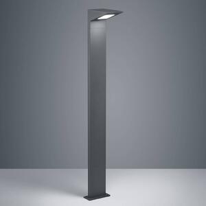 Trio Lighting Lampione LED Nelson, altezza 100 cm