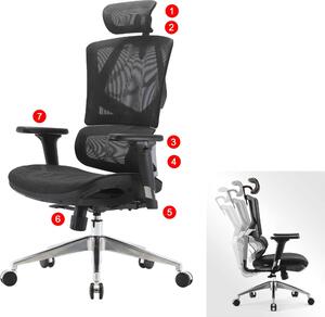 SIHOO sedia da ufficio sedia da scrivania ergonomica, supporto lombare alto schienale 3D braccioli ~ mesh nero