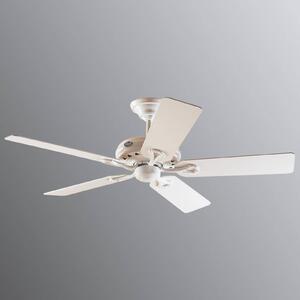 Hunter Savoy ampio ventilatore da soffitto