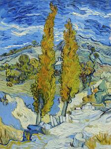 Riproduzione The Poplars at Saint-r my 1889, Vincent van Gogh