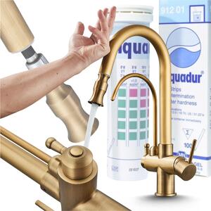 Rubinetto da cucina Ari Parma con doccetta estraibile, sensore touch, beccuccio girevole a 360 gradi, ottone spazzolato oro