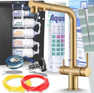 Miscelatore da cucina con filtro per l'acqua ARI a 3 vie estraibile, finitura oro satinato