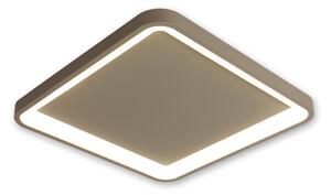 BRILAGI - Plafoniera LED dimmerabile FALCON SLIM LED/50W/230V 50x50 cm beige + telecomando
