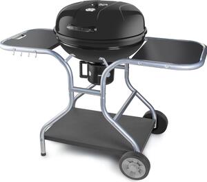 Fieldmann FZG 1014 Grill Carbone (combustibile) Nero, Acciaio inox