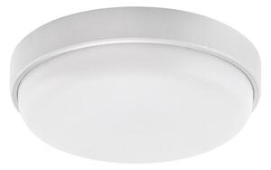 Rabalux 77224 - Plafoniera da esterno a LED HORT2 LED/14W/230V IP54 bianco