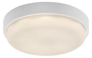 Rabalux 77224 - Plafoniera da esterno a LED HORT2 LED/14W/230V IP54 bianco
