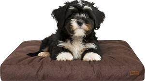 Materasso per cani "Grand Light" - 75x50cm - Cuccia idrorepellente - Rettangolare - Outdoor & Indoor | PillowPrim