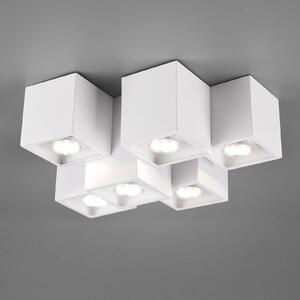 Trio Lighting Plafoniera Fernando, 6 luci, bianco satinato