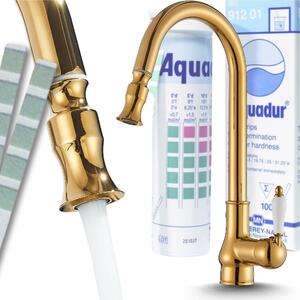 Rubinetto da cucina Ari Bloom con doccetta estraibile, beccuccio girevole 360, aeratore, cartuccia Vetroceramica, colore oro lucido