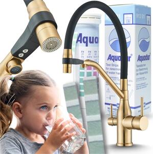 Rubinetto da cucina a 3 vie Ari Magneto con doccetta estraibile e canna girevole 360, collegamento per filtro acqua, ottone satinato oro