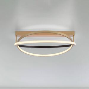 Q-Smart-Home Paul Neuhaus Q-Beluga plafoniera LED, ottone