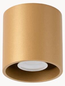 Faretto da soffitto Roda 1